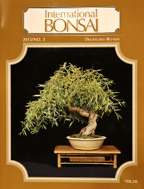 International Bonsai, 2013/3