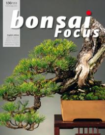 Bonsai Focus, 2007